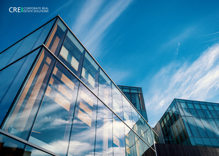 Digital Marketing Agency