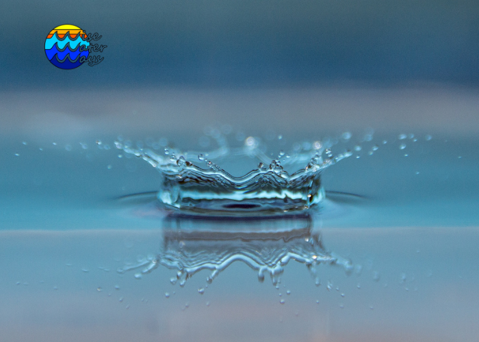 Digital Marketing Agency