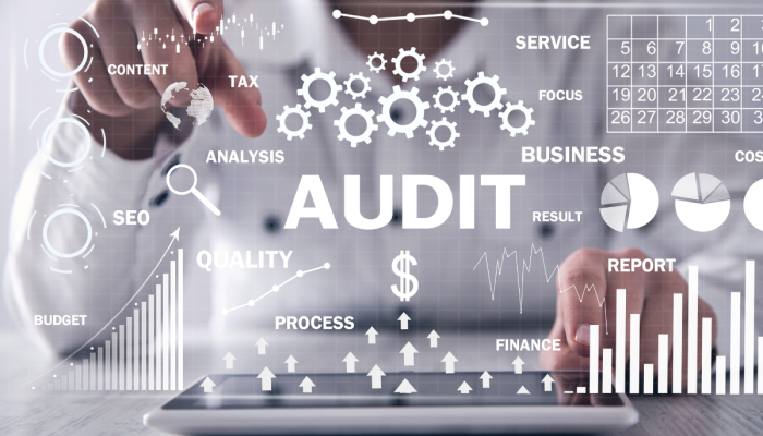 SEO Audit