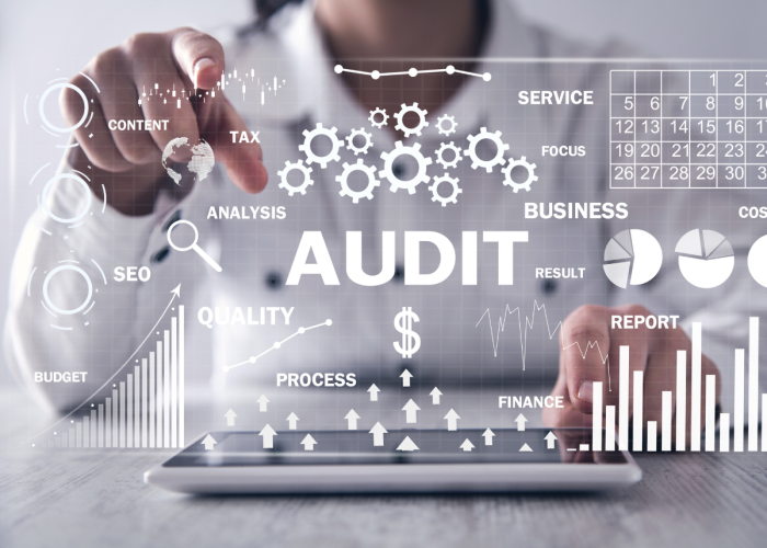 SEO Audit