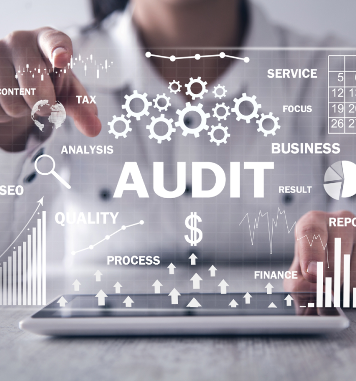 SEO Audit