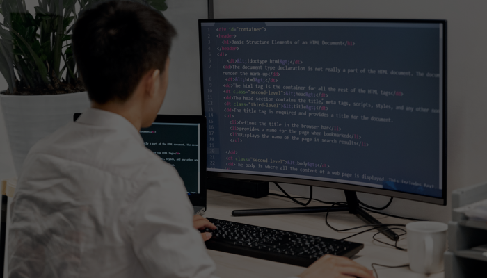 Web Design Agency vs Freelancer