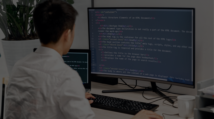 Web Design Agency vs Freelancer