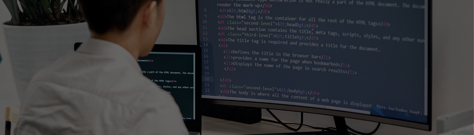 Web Design Agency vs Freelancer