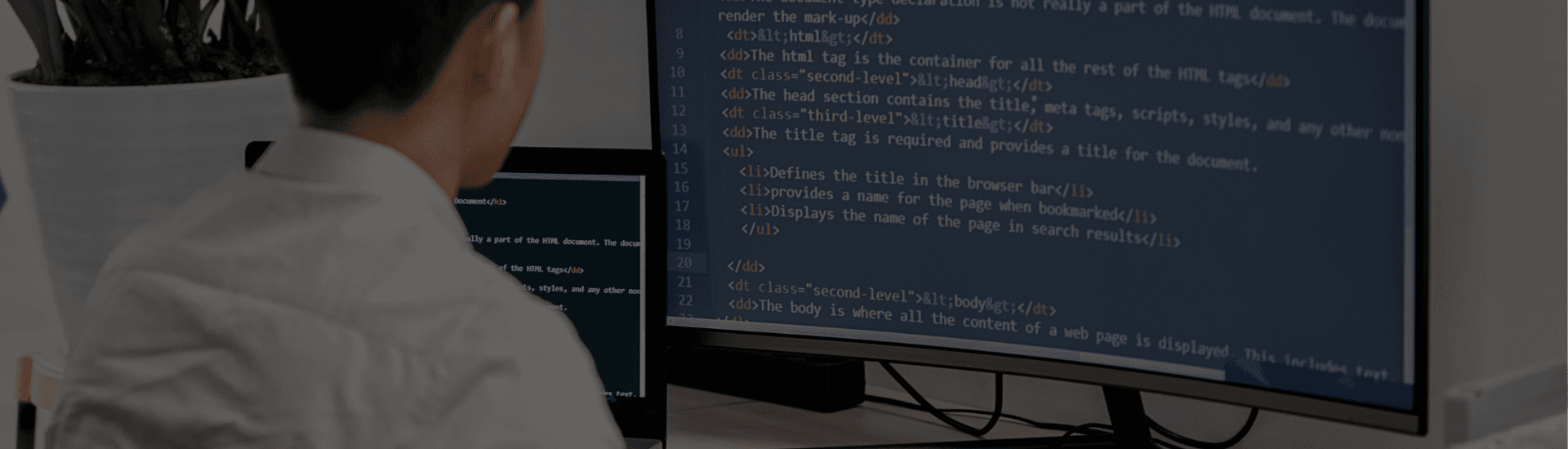 Web Design Agency vs Freelancer