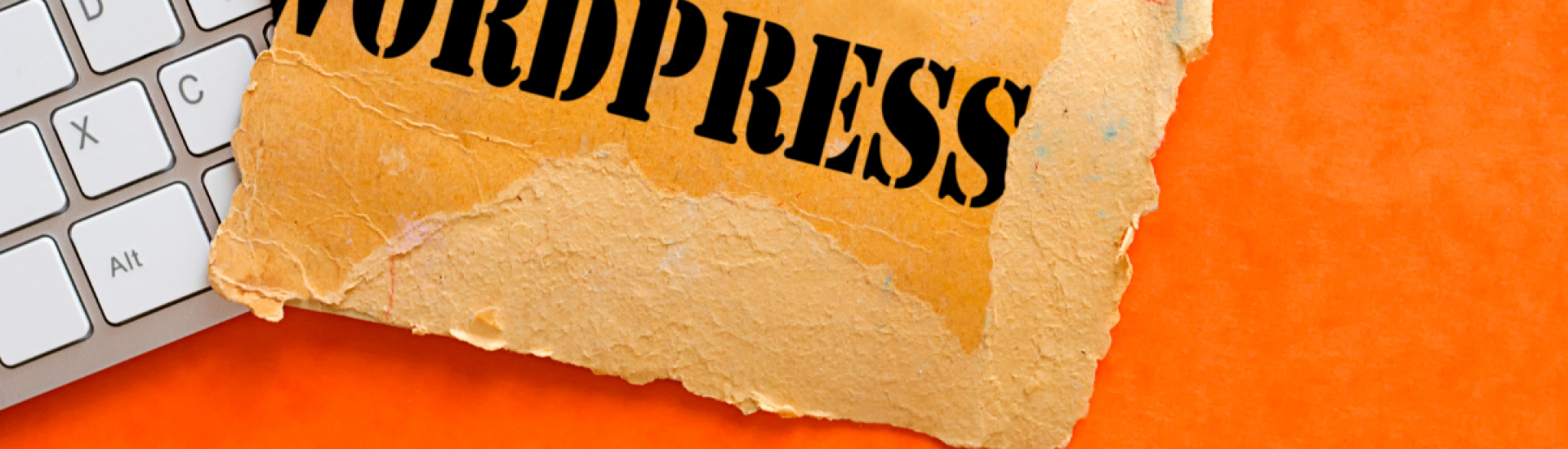 Top 5 Website Designs